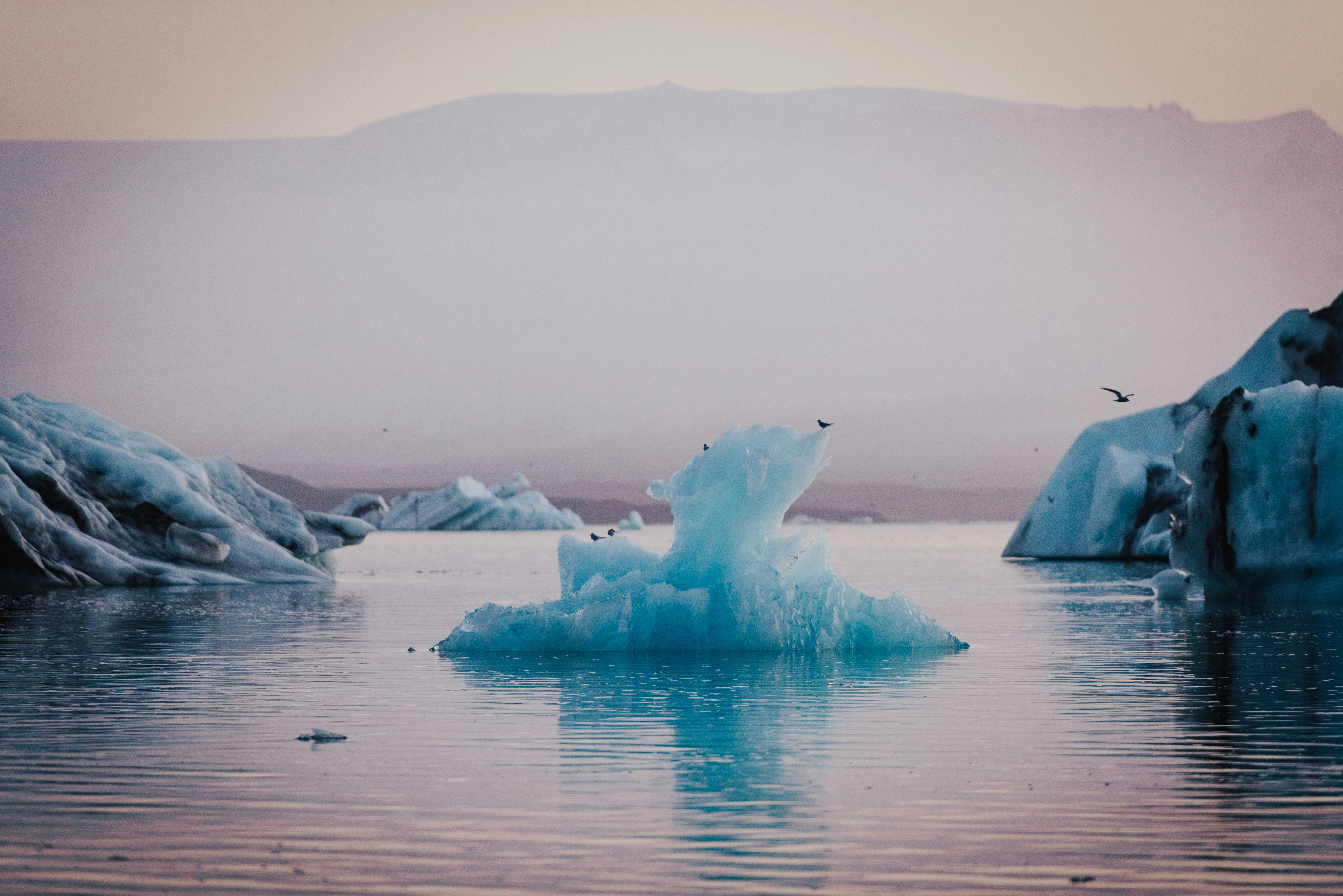 Photo by benkarpinski