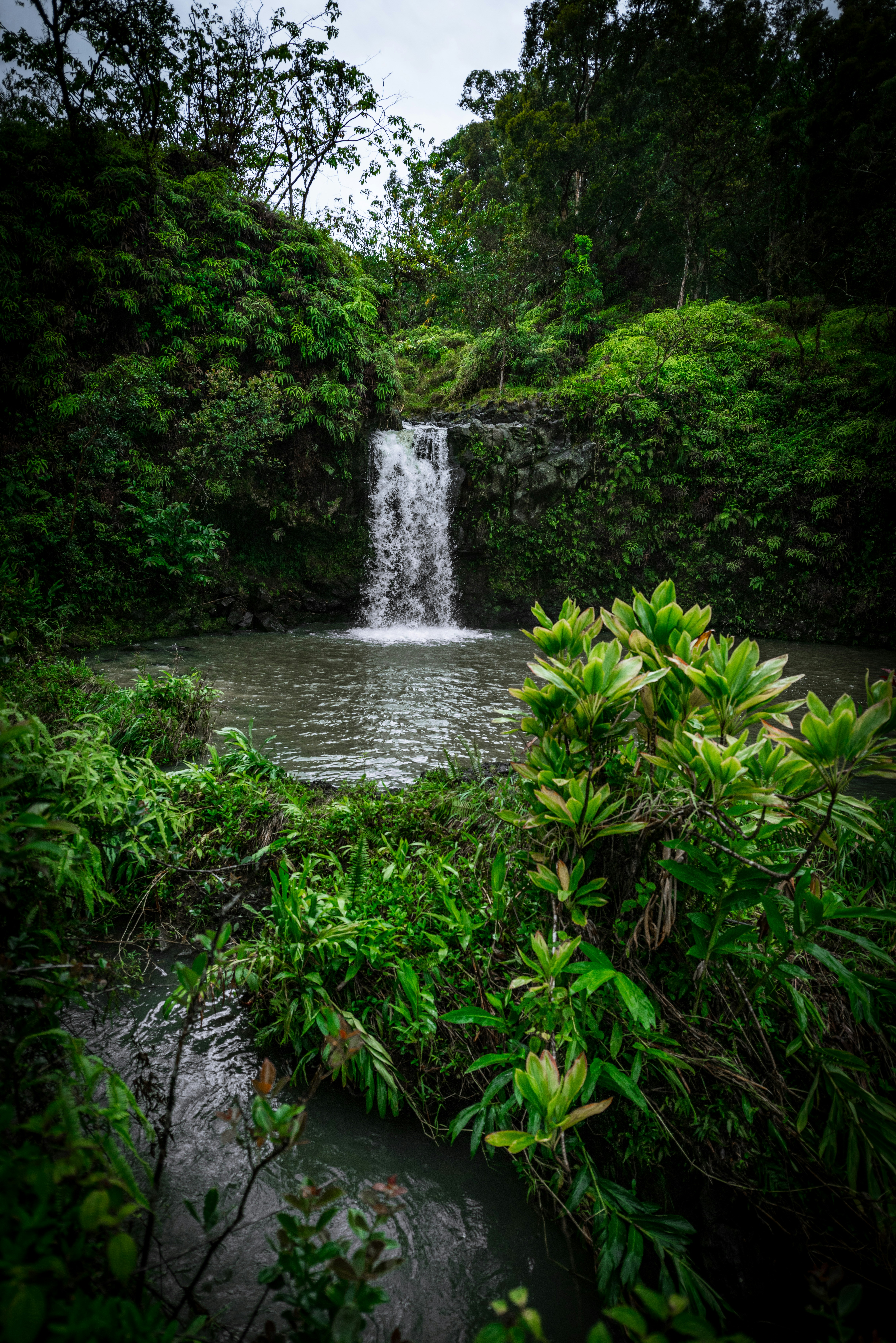 Photo by benkarpinski