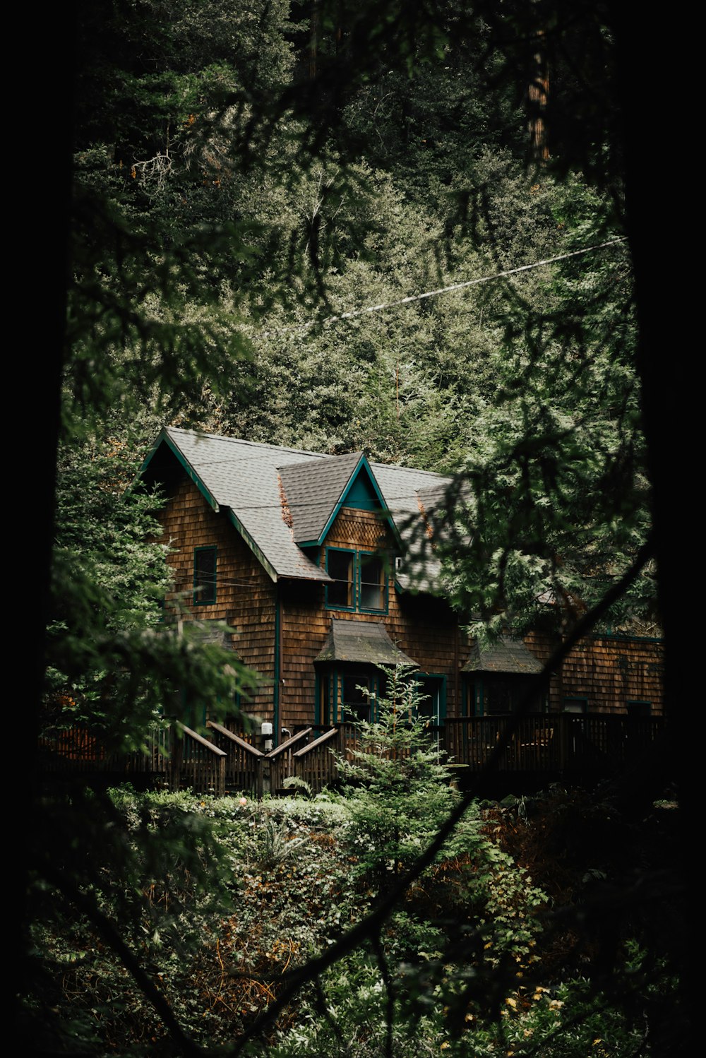 brown wooden house in the middle of forest