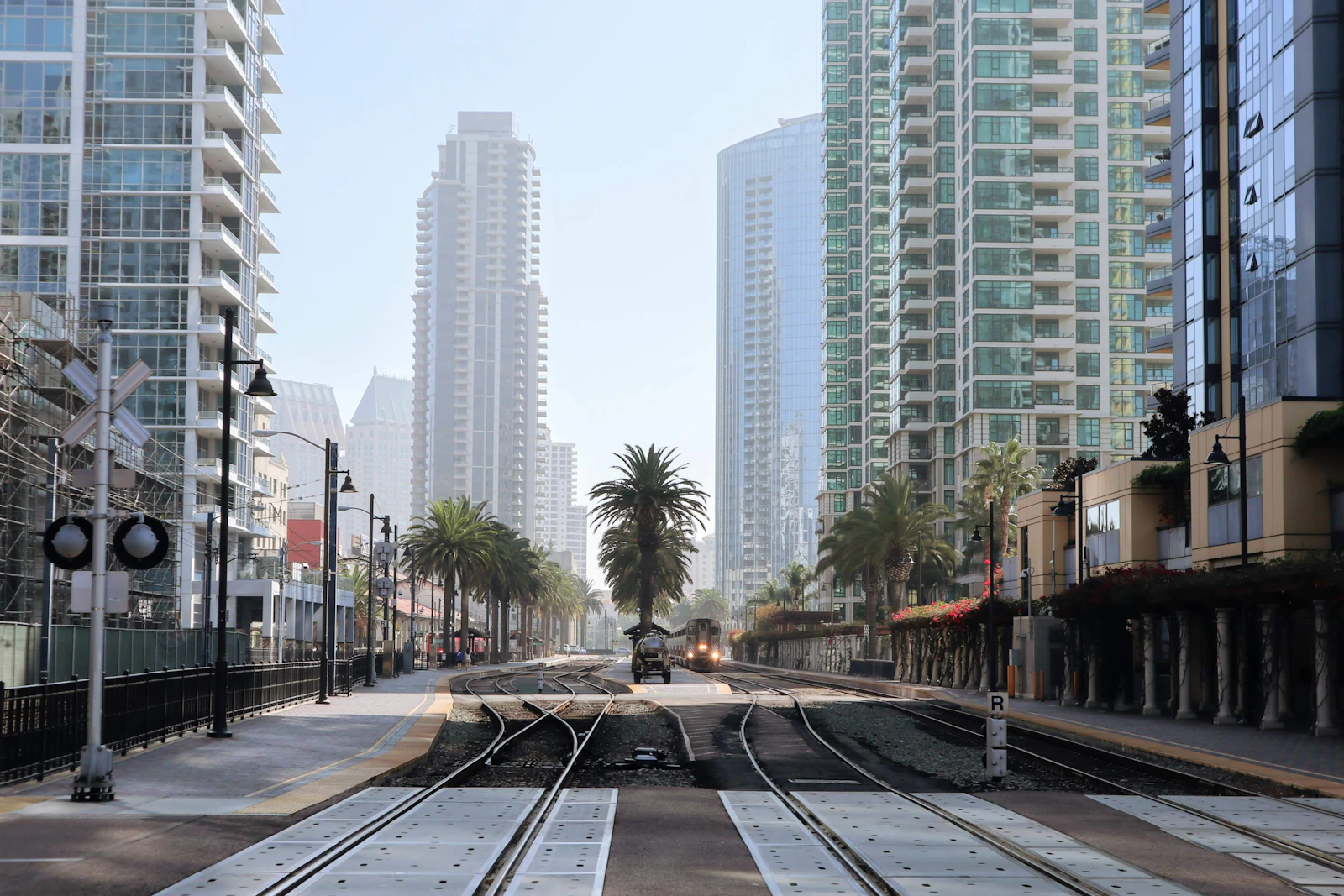 A palm-lined street of high-rises in downtown San Diego