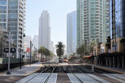 A palm-lined street of high-rises in downtown San Diego