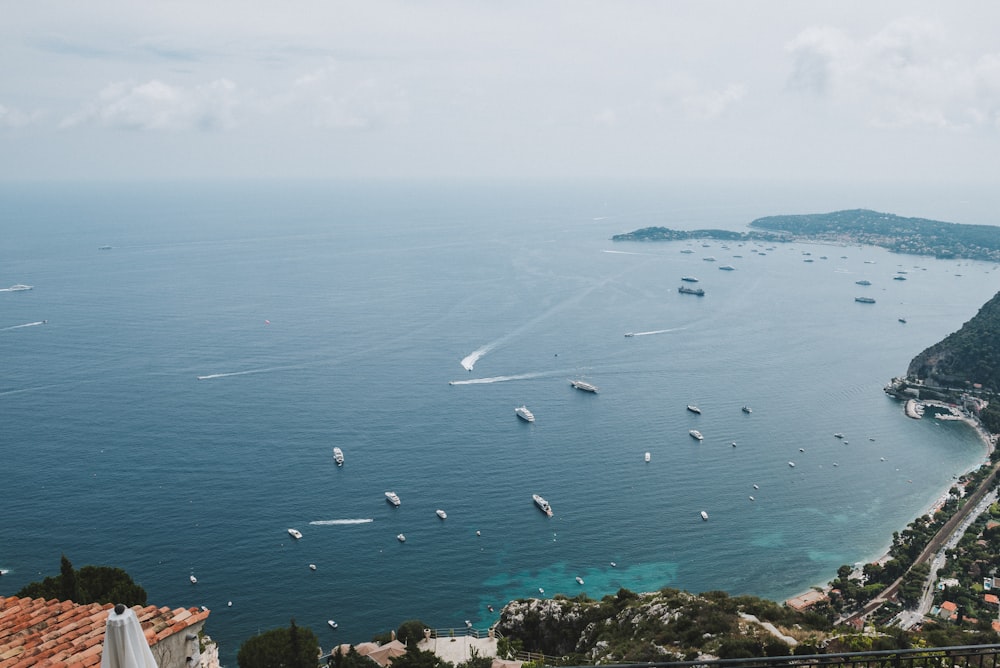 birds eye view of body of water