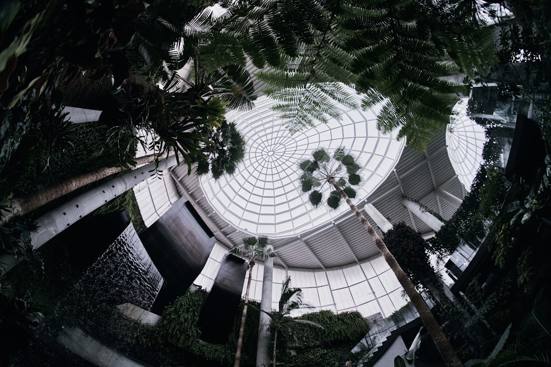 green trees in white building