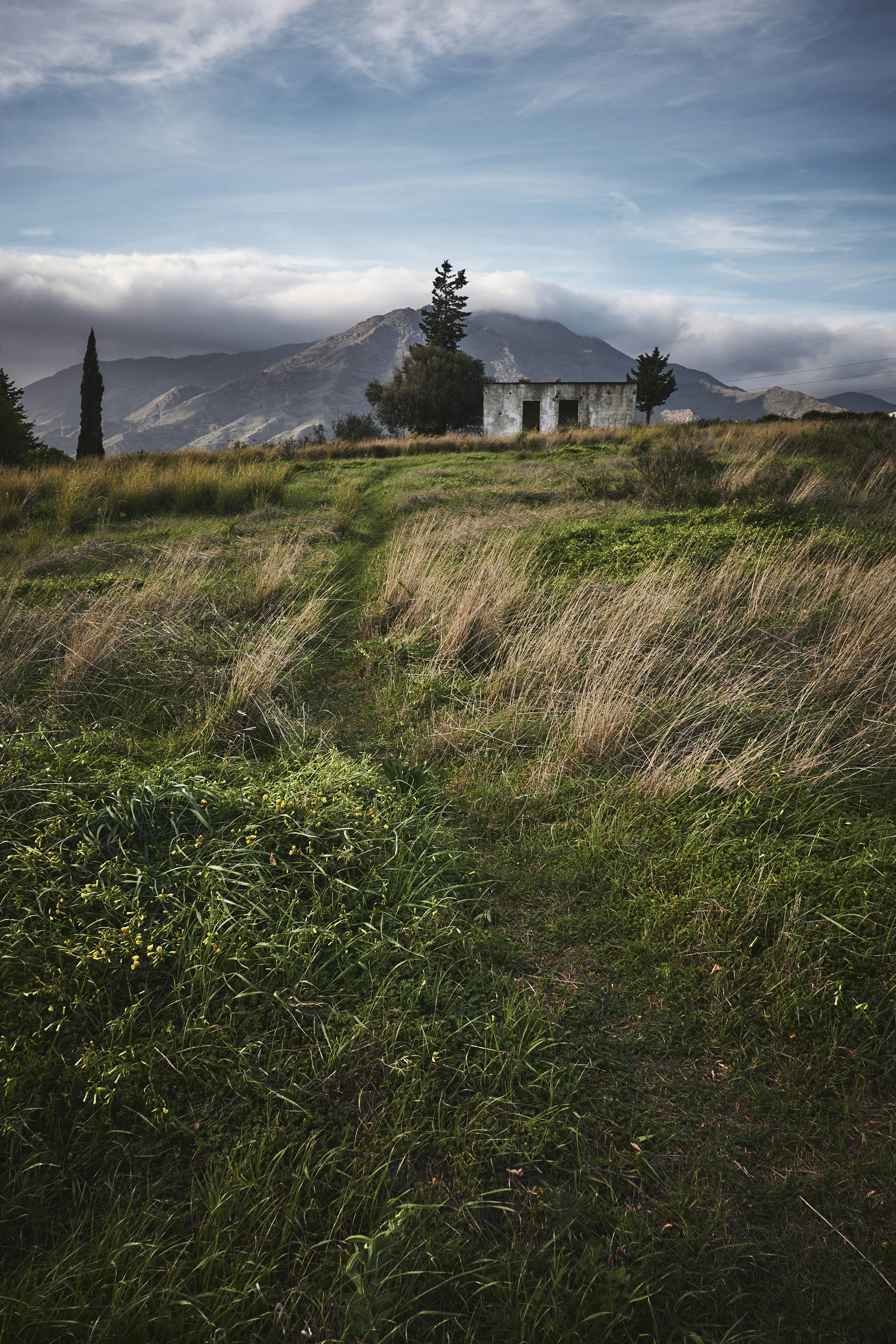 Photo by victor_vector