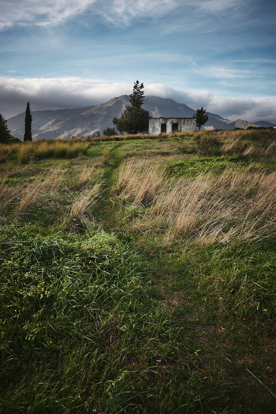 green grass field near house during daytime