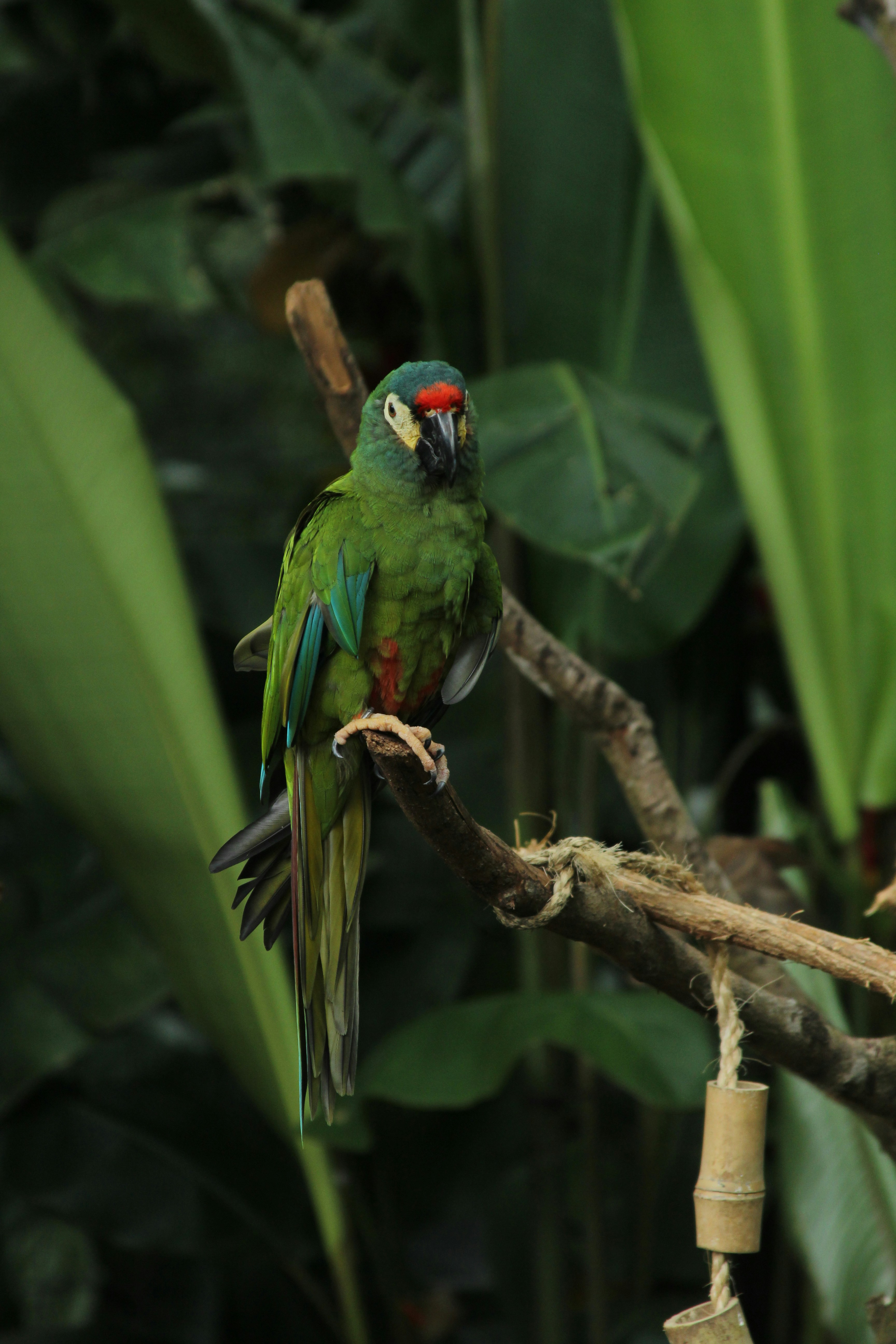 Photo by giisilveira