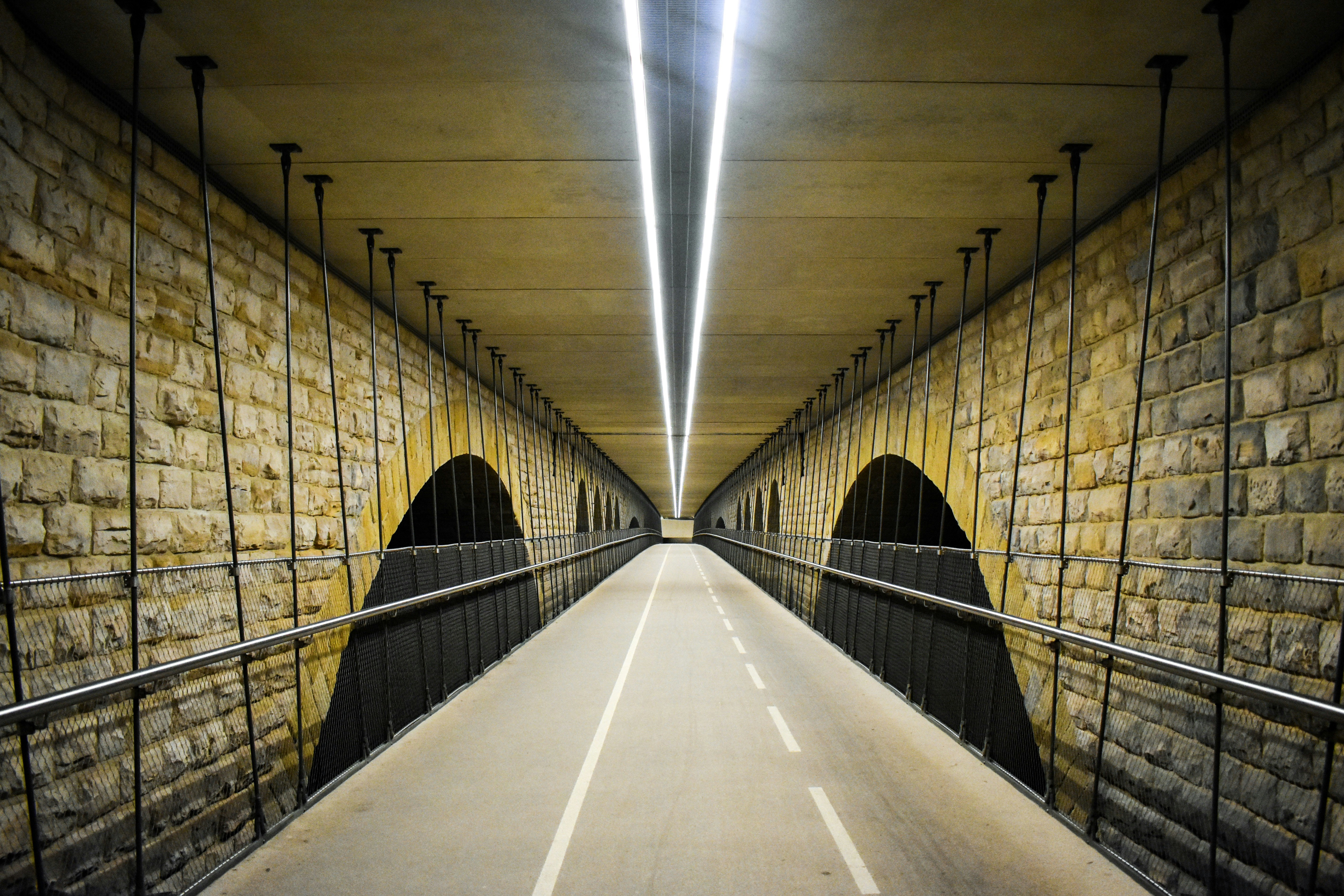 Photo by diegorodriguezcarlos