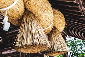Large, intricately woven straw ropes are hung under the eaves of a traditional wooden structure. The ropes are thick and bound together with white cords, showcasing a craftsmanship typical of Japanese cultural artifacts. The background includes elements of wooden architecture and some greenery, suggesting a serene outdoor setting.
