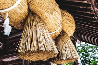 Large, intricately woven straw ropes are hung under the eaves of a traditional wooden structure. The ropes are thick and bound together with white cords, showcasing a craftsmanship typical of Japanese cultural artifacts. The background includes elements of wooden architecture and some greenery, suggesting a serene outdoor setting.