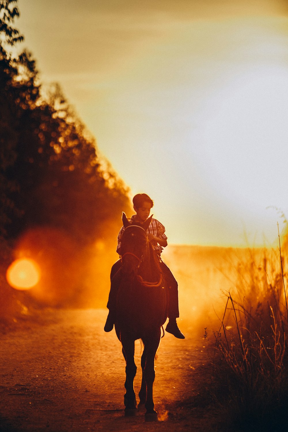 silhouette of man standing on grass field during sunset