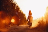 Riders enjoying a peaceful trail through Göreme valleys at sunset