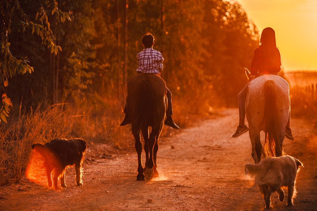 man in black and white plaid dress shirt riding horse during daytime