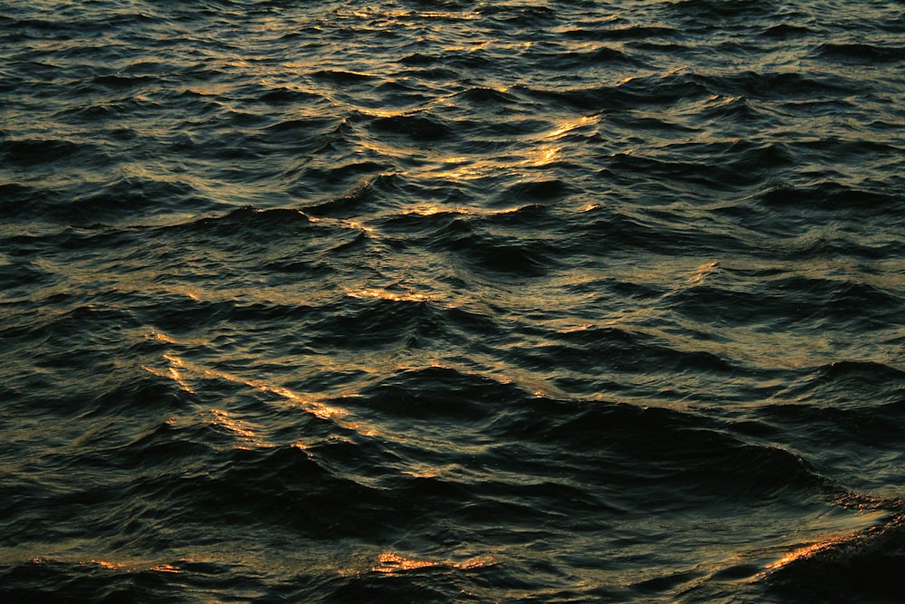 body of water during daytime