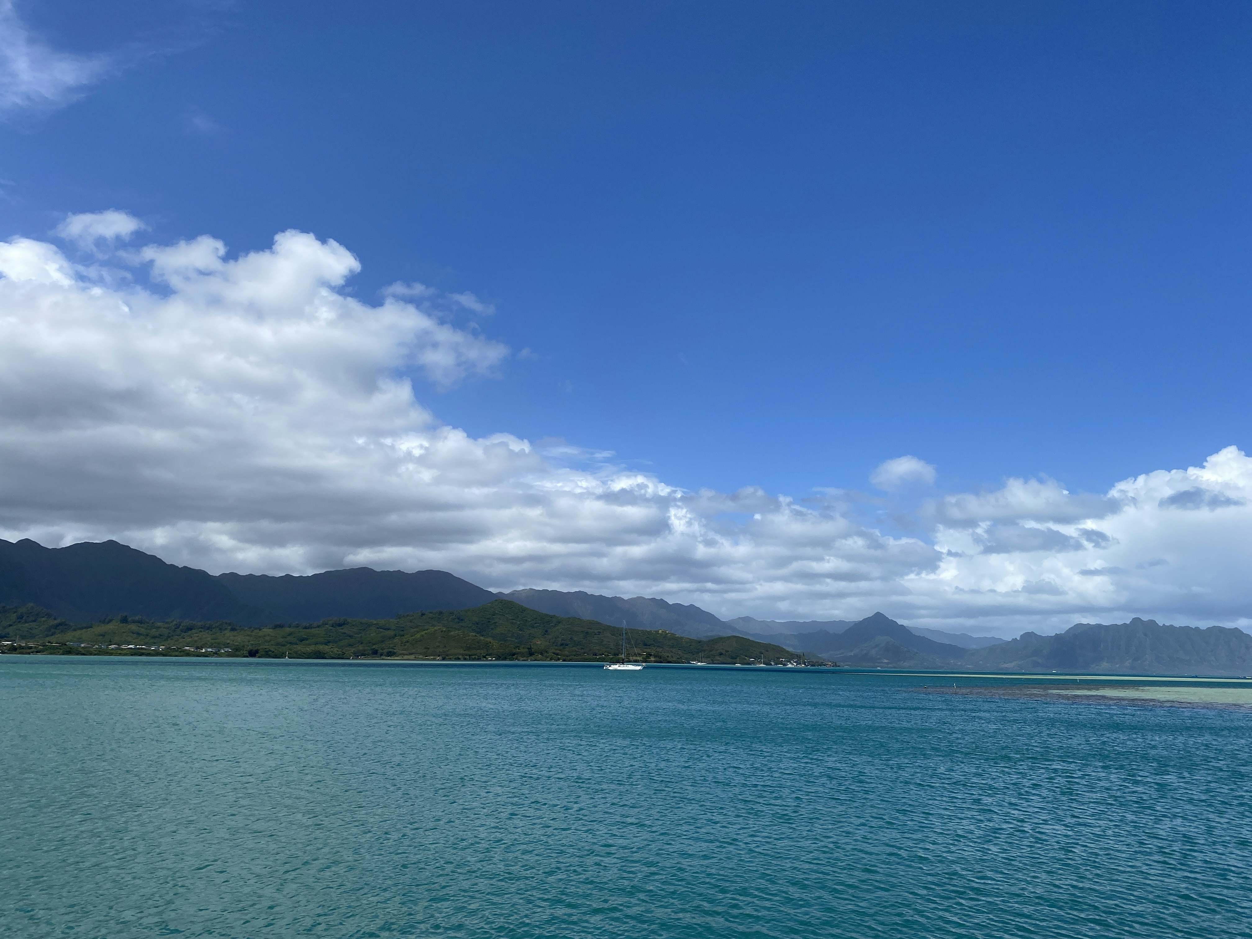 Photo by dorothyhirata