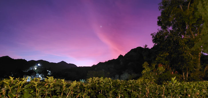 A vibrant Minecraft landscape from Kitacraft featuring players building together under a sunset sky.