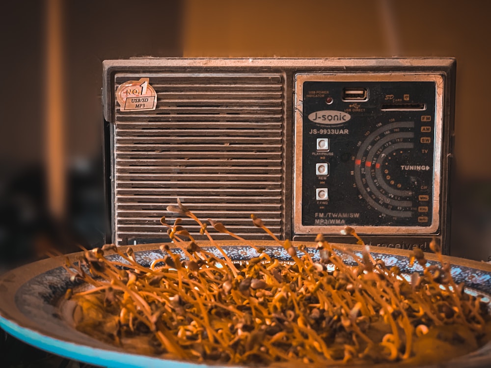 brown and black radio on brown dried leaves
