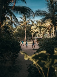 people walking on beach during daytime