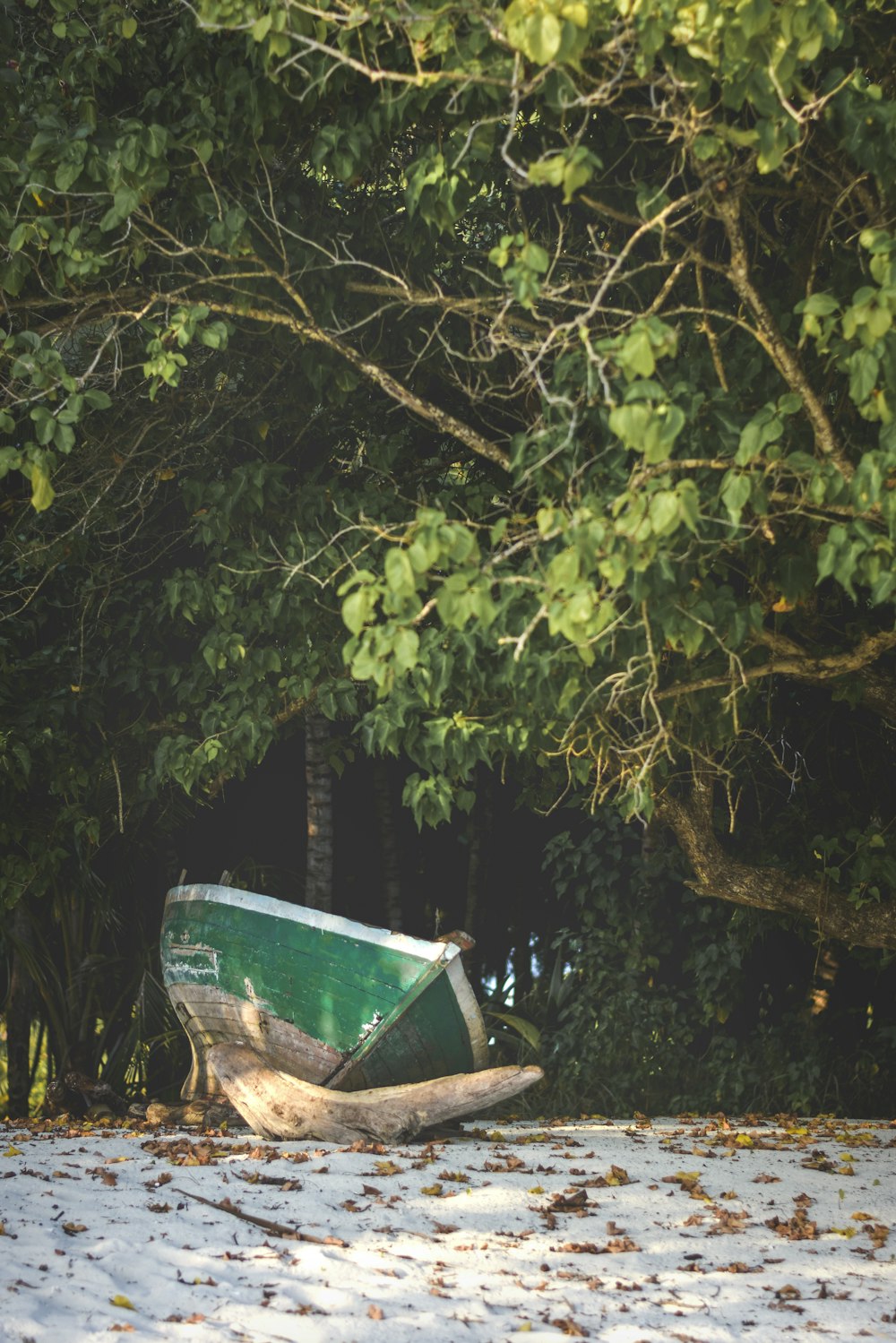 green and white canoe on body of water