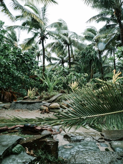 Fiji in March