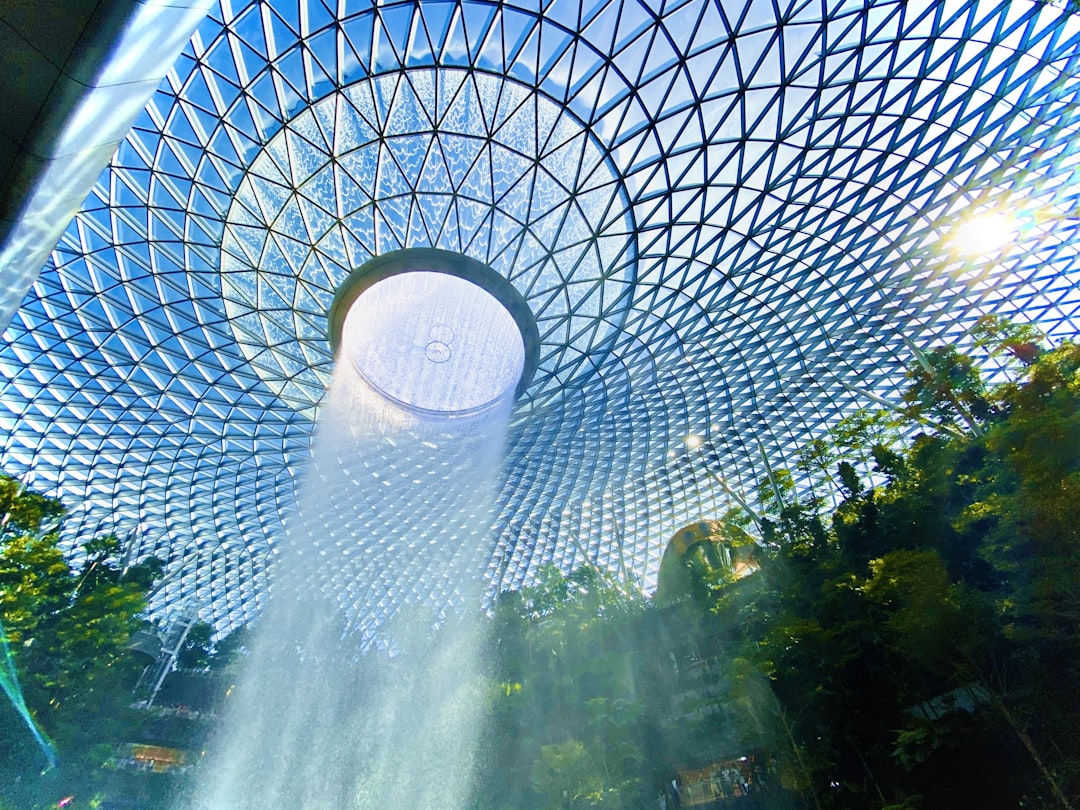 A Traveler’s Crime At Singapore’s Airport:Don't Do the Crime if You… — A Traveler’s Crime At Singapore’s Airport