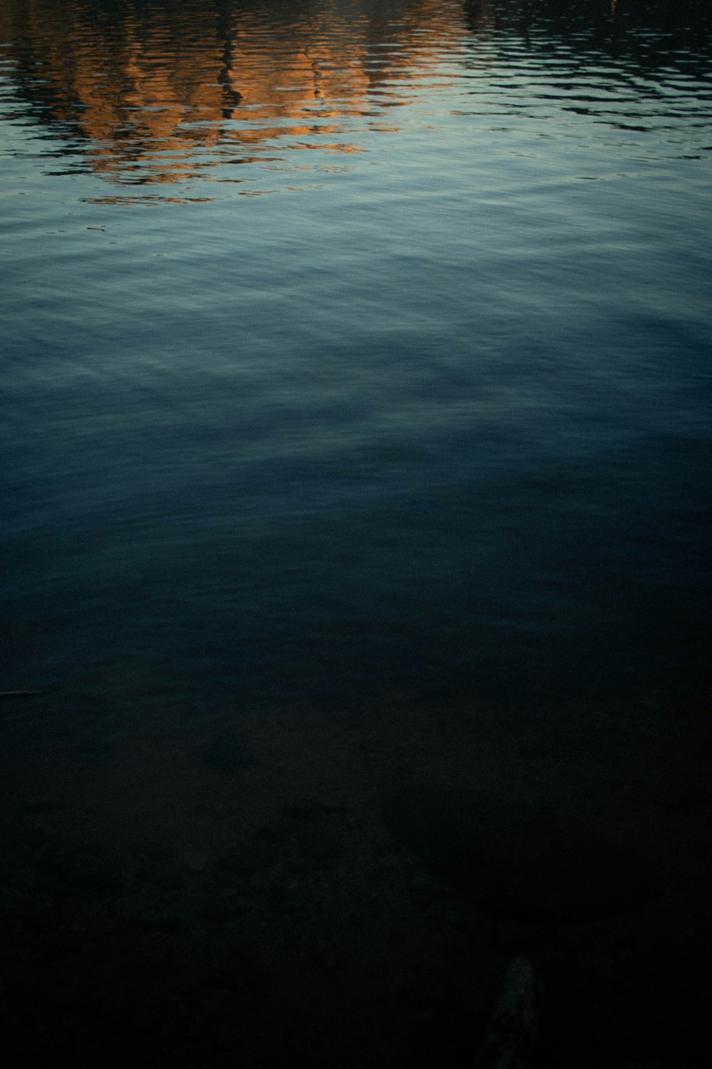 body of water during daytime