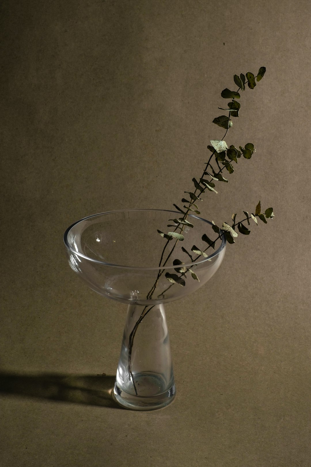 green plant on clear glass vase