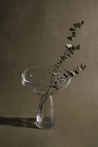 Iittala Aalto Vase 16cm Clear