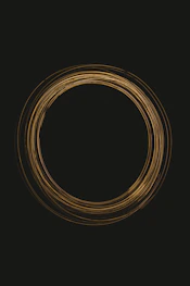 brown and black round illustration