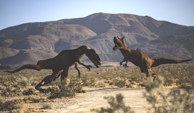 brown horse running on brown field during daytime