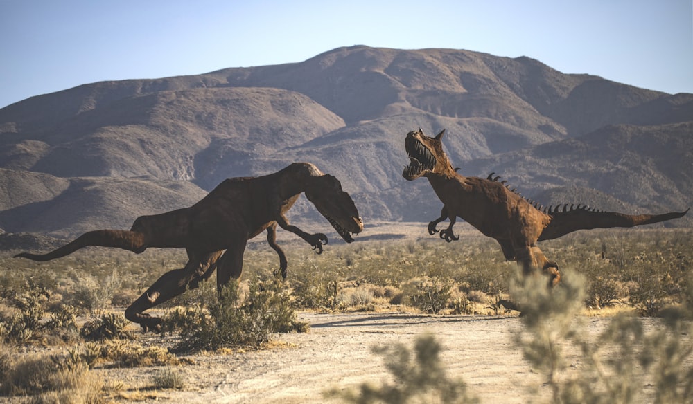 brown horse running on brown field during daytime