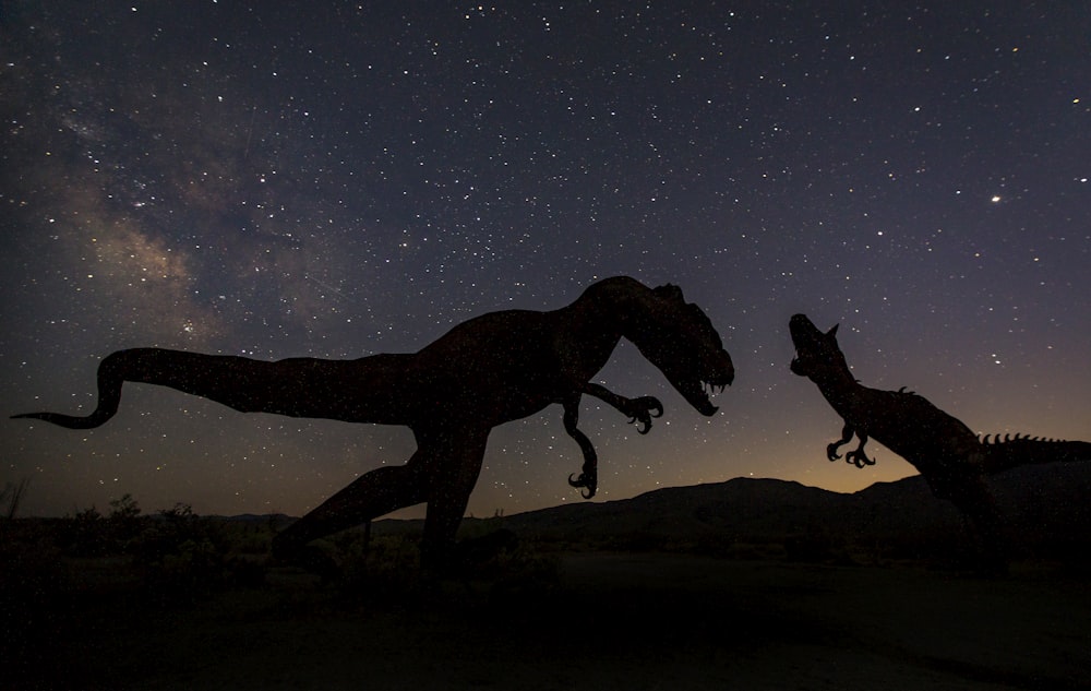 Silhouette de 2 chevaux sous la nuit étoilée