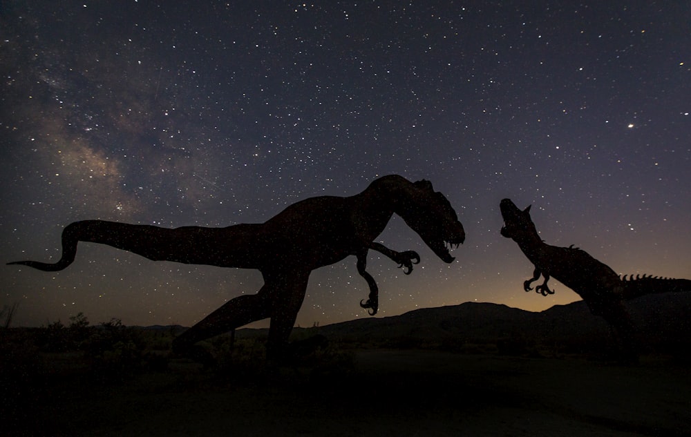 silhouette of 2 horse under starry night