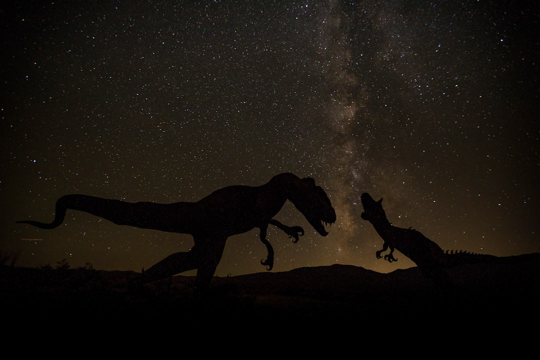 silhouette of horse during night time