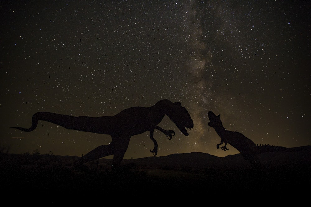 silhouette of horse during night time