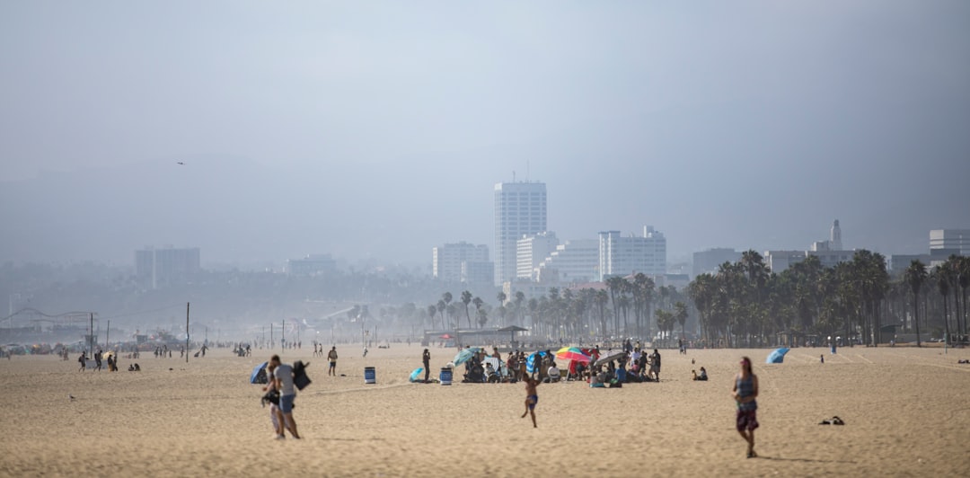 people on beach during daytime