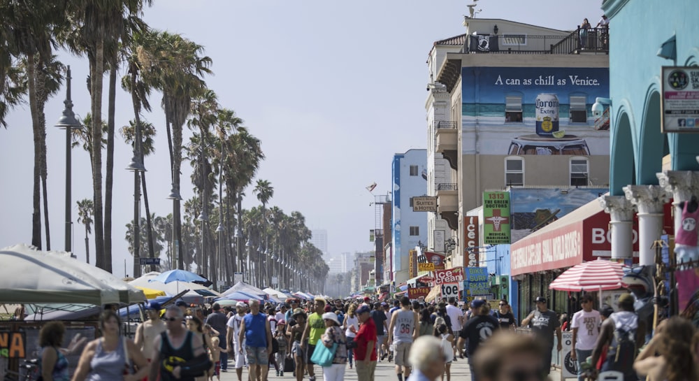 people walking on street during daytime