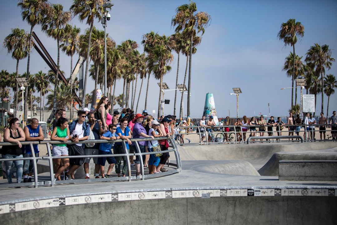 people sitting on bench near palm trees during daytime