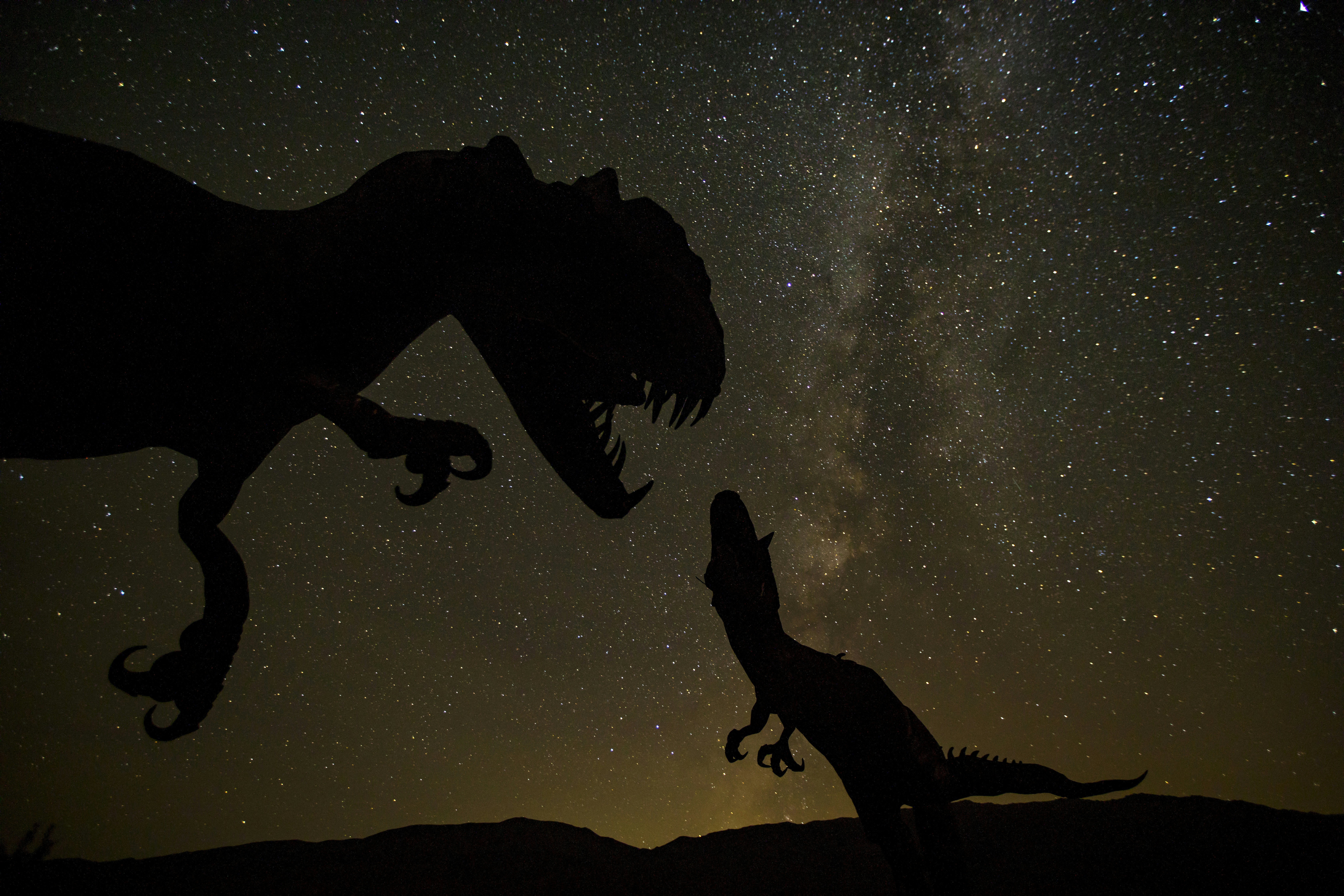 죠 르디 공룡 - 최신 정보와 재미있는 이야기