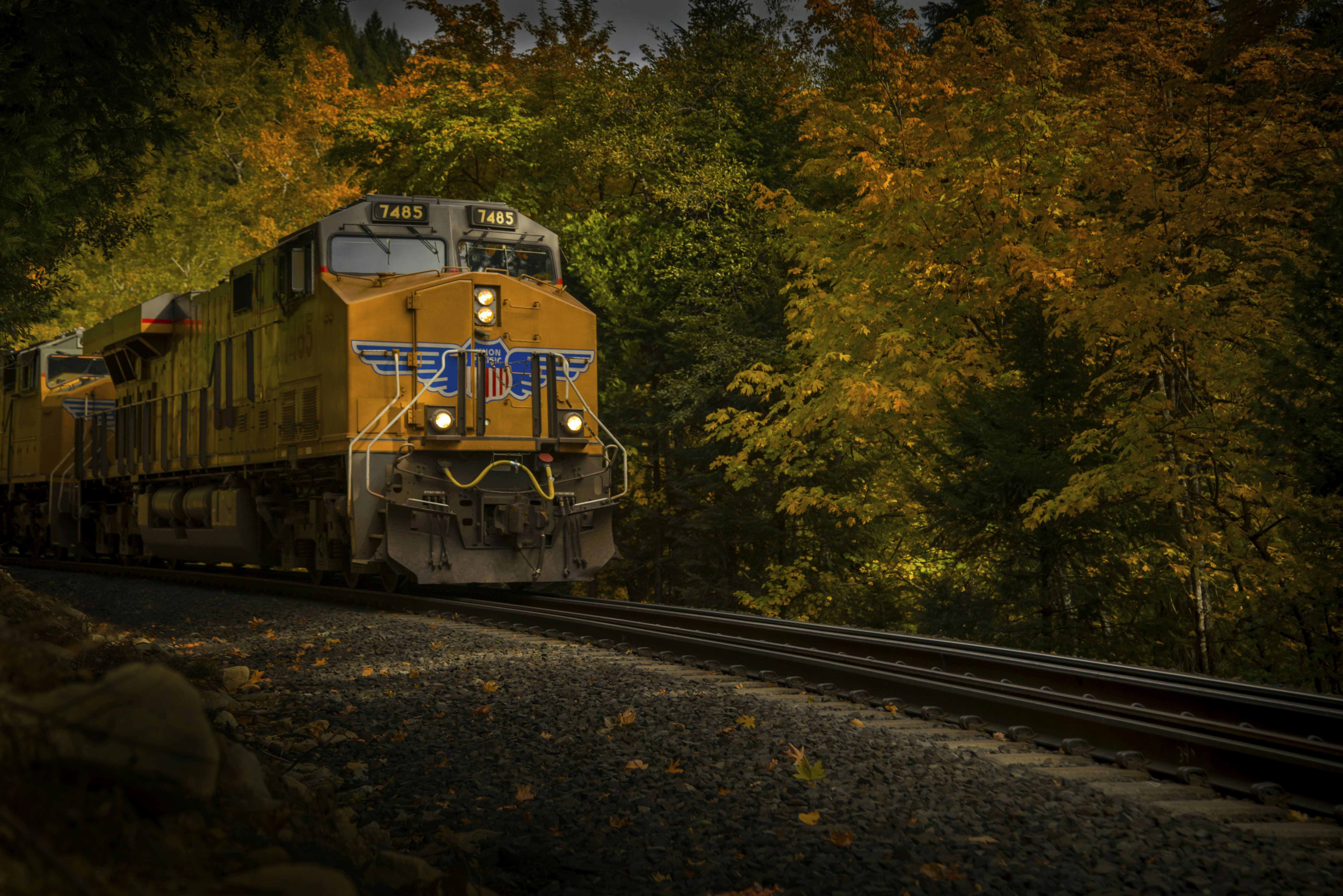 Photo by leo_visions_