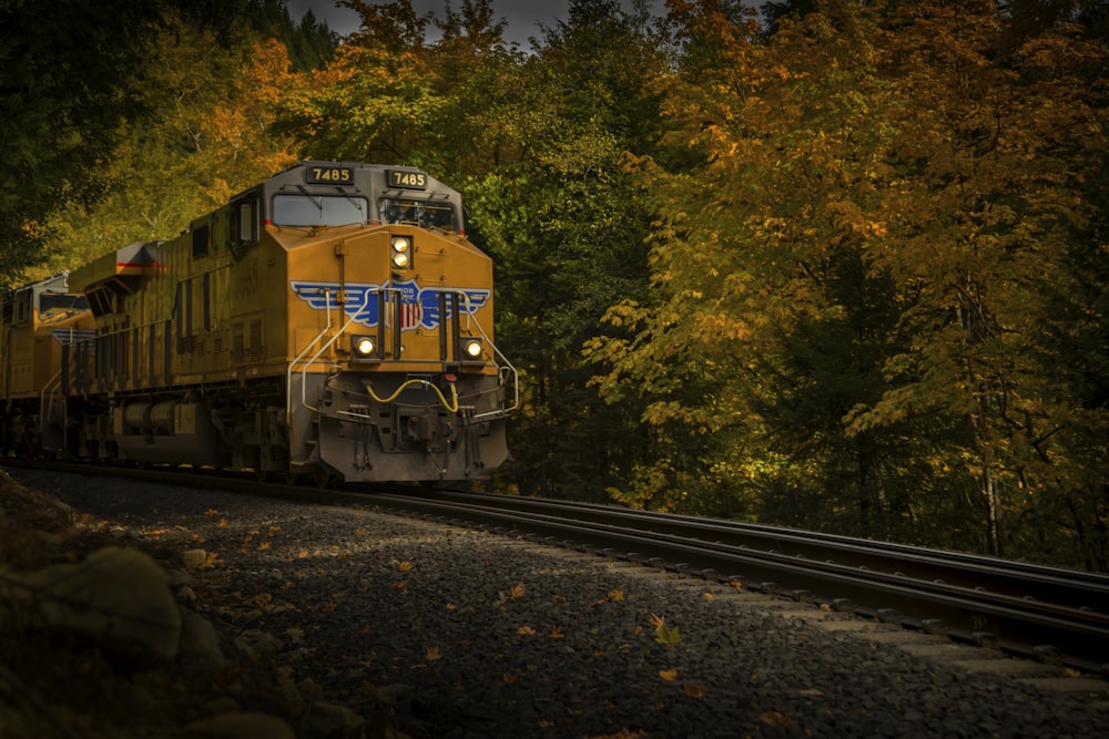 yellow and black train on rail tracks