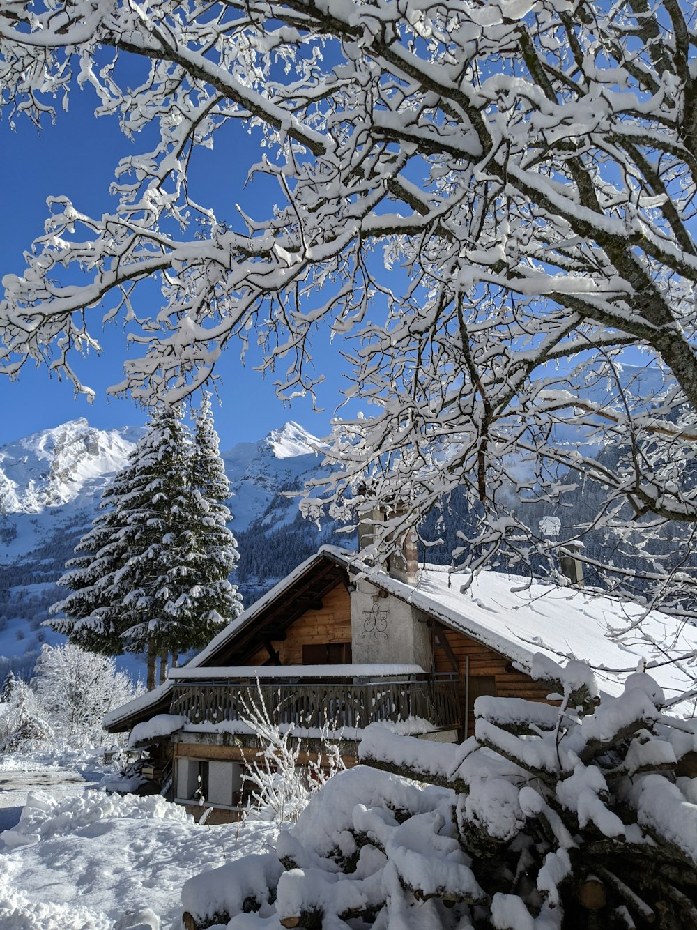 brown wooden house on snow covered ground during daytime