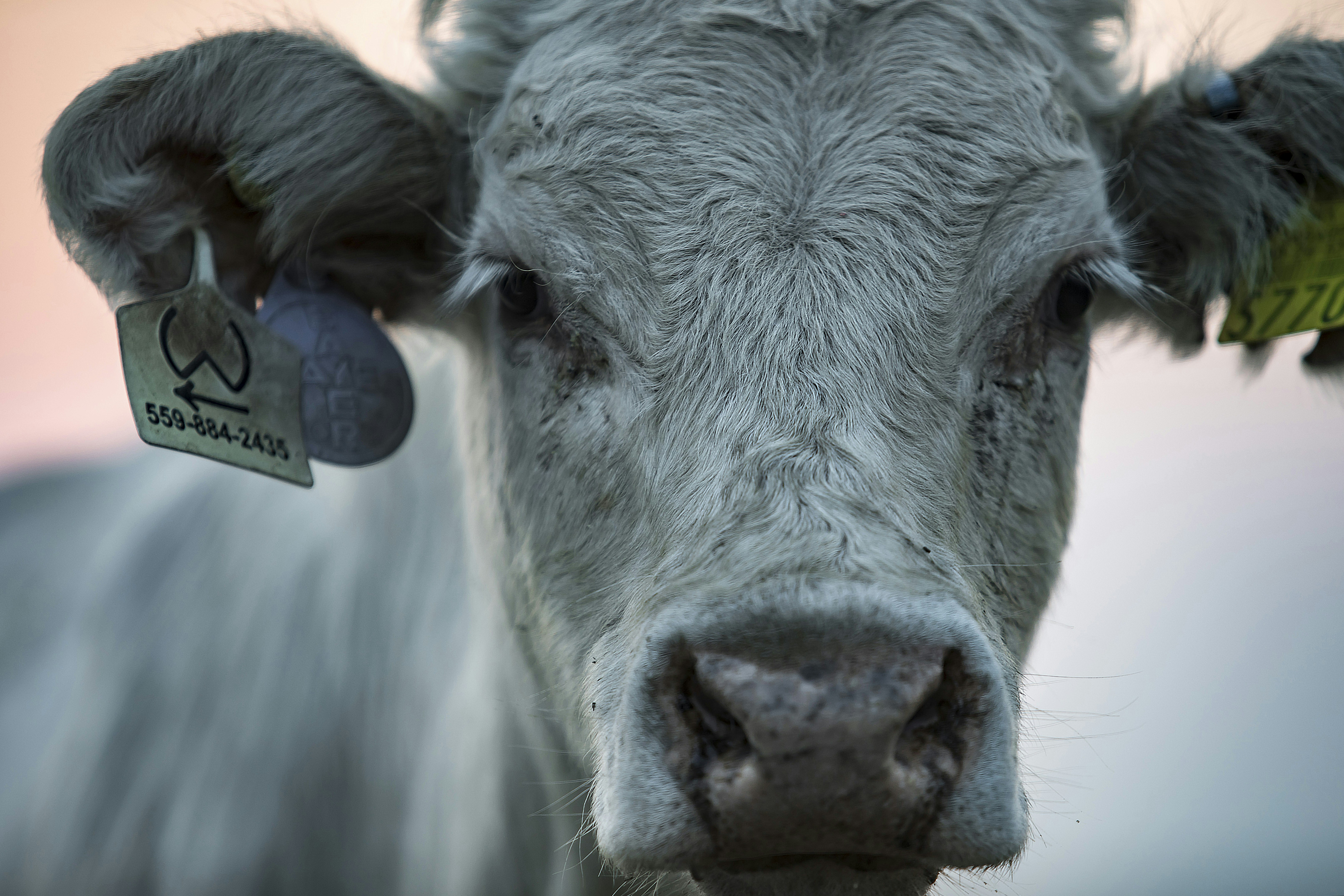 삼성카드 민생회복지원금 사용처 관련 이미지1