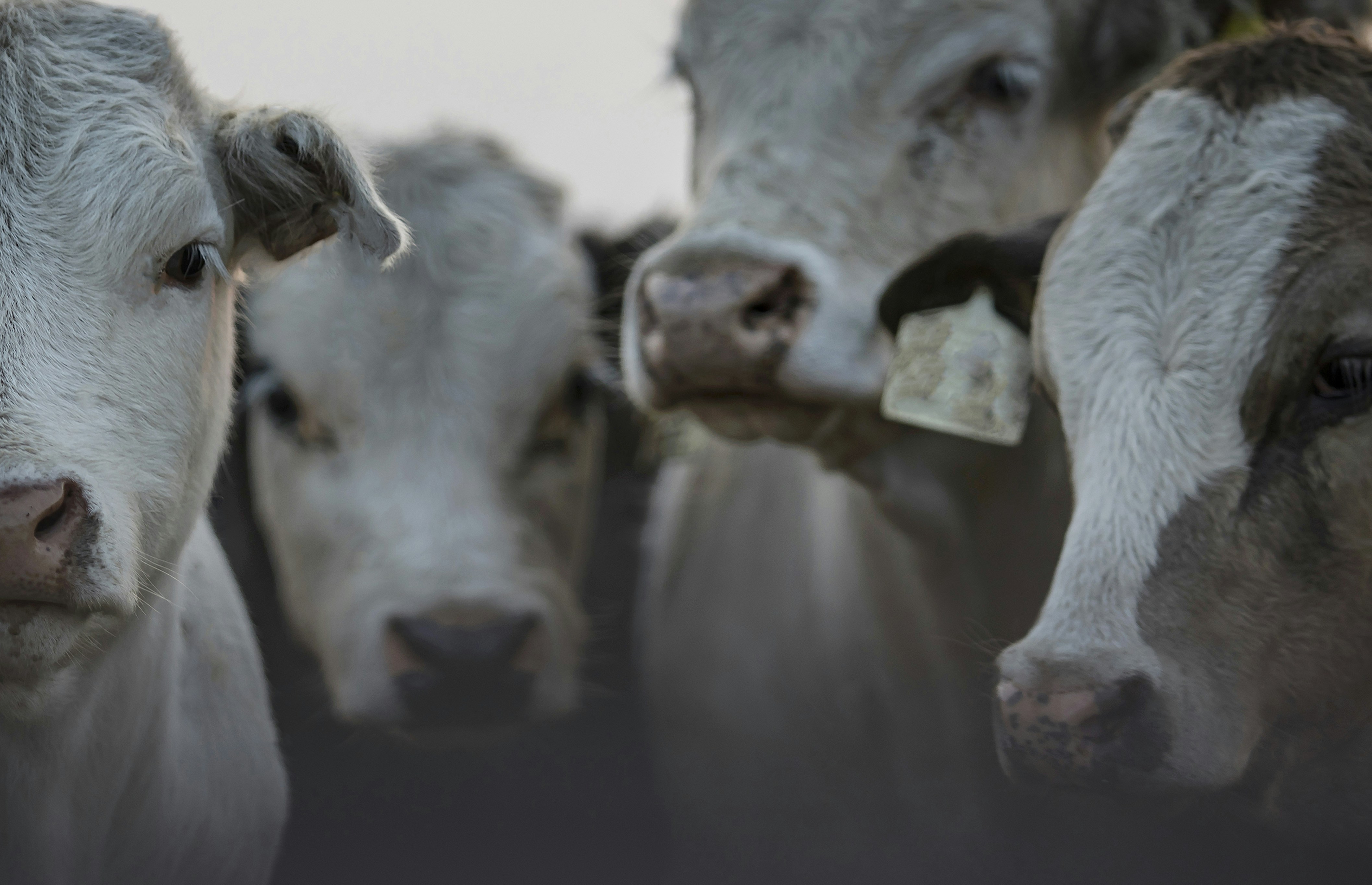 Photo by leo_visions_