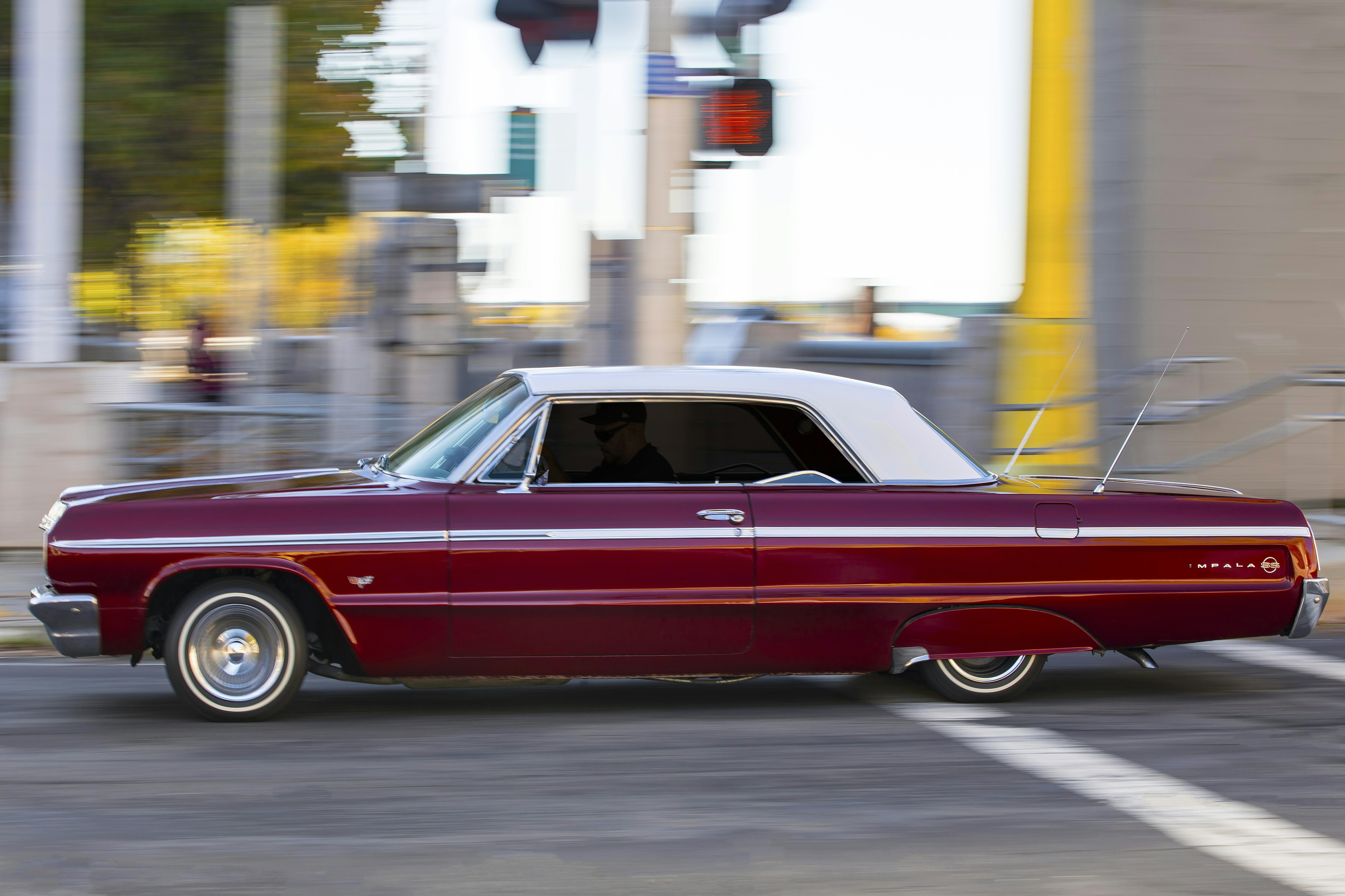 Photo by leo_visions_