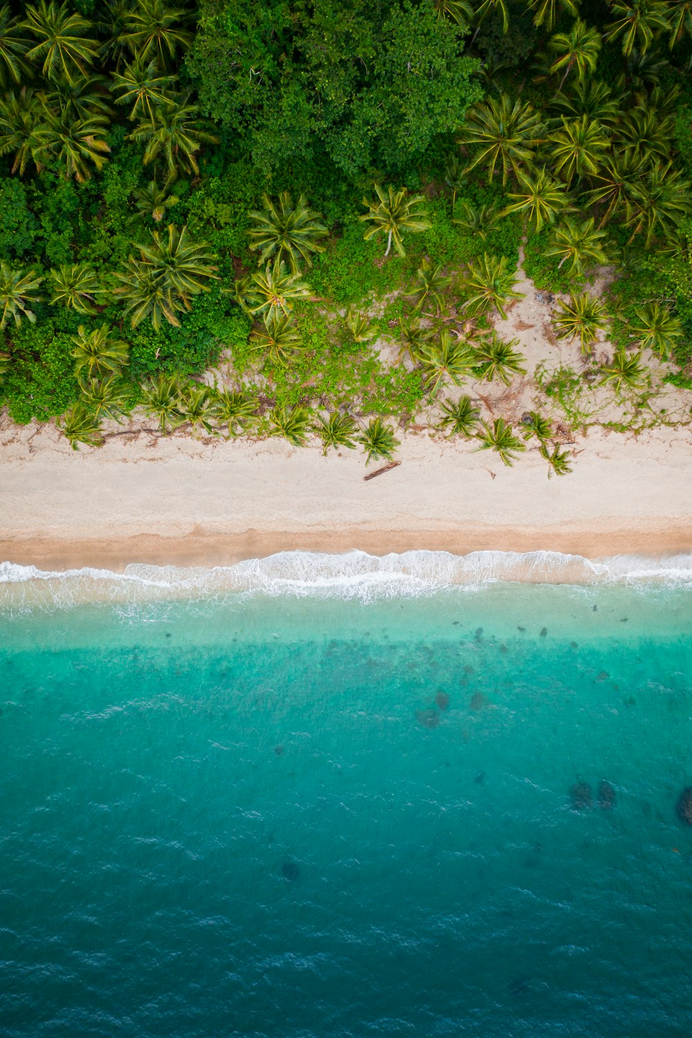 aerial view of beach during daytime