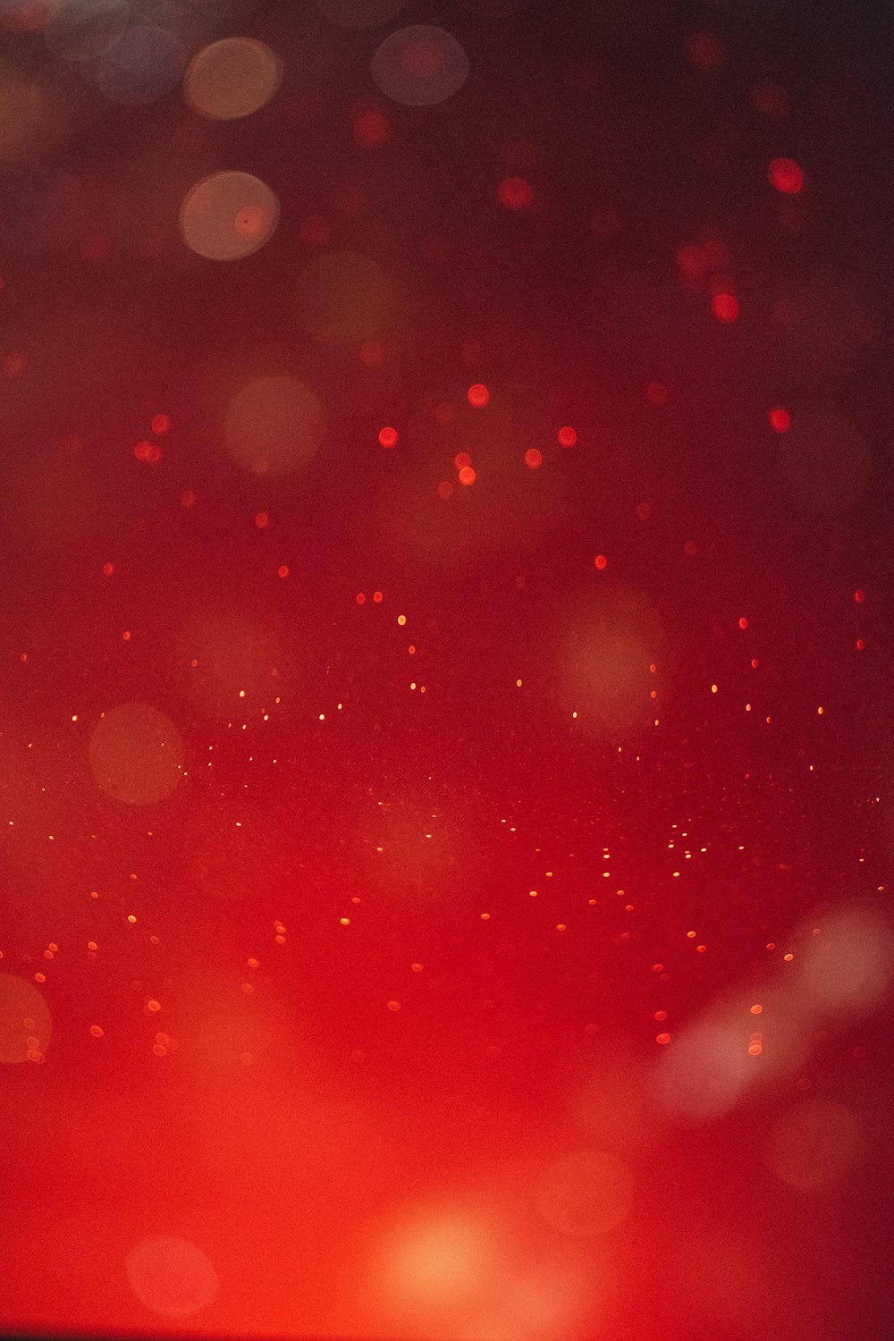 red and white bokeh lights