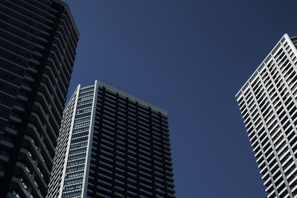 white and black concrete building under blue sky during daytime