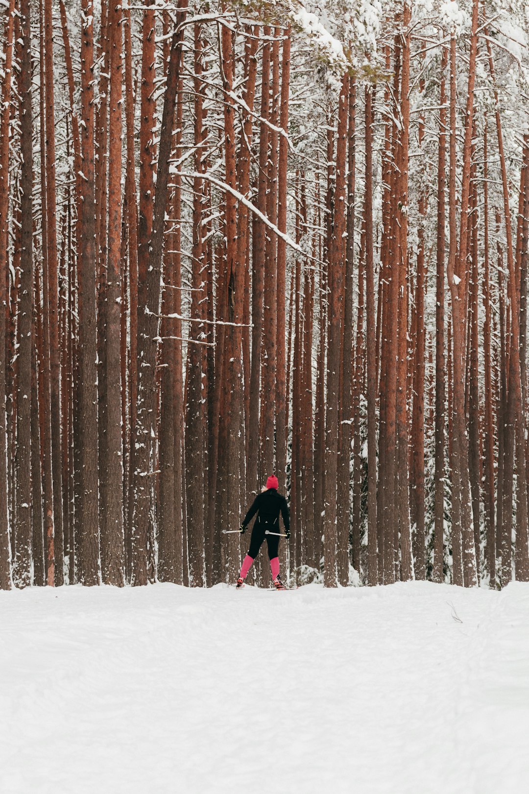 person in black jacket walking on snow covered ground near brown trees during daytime