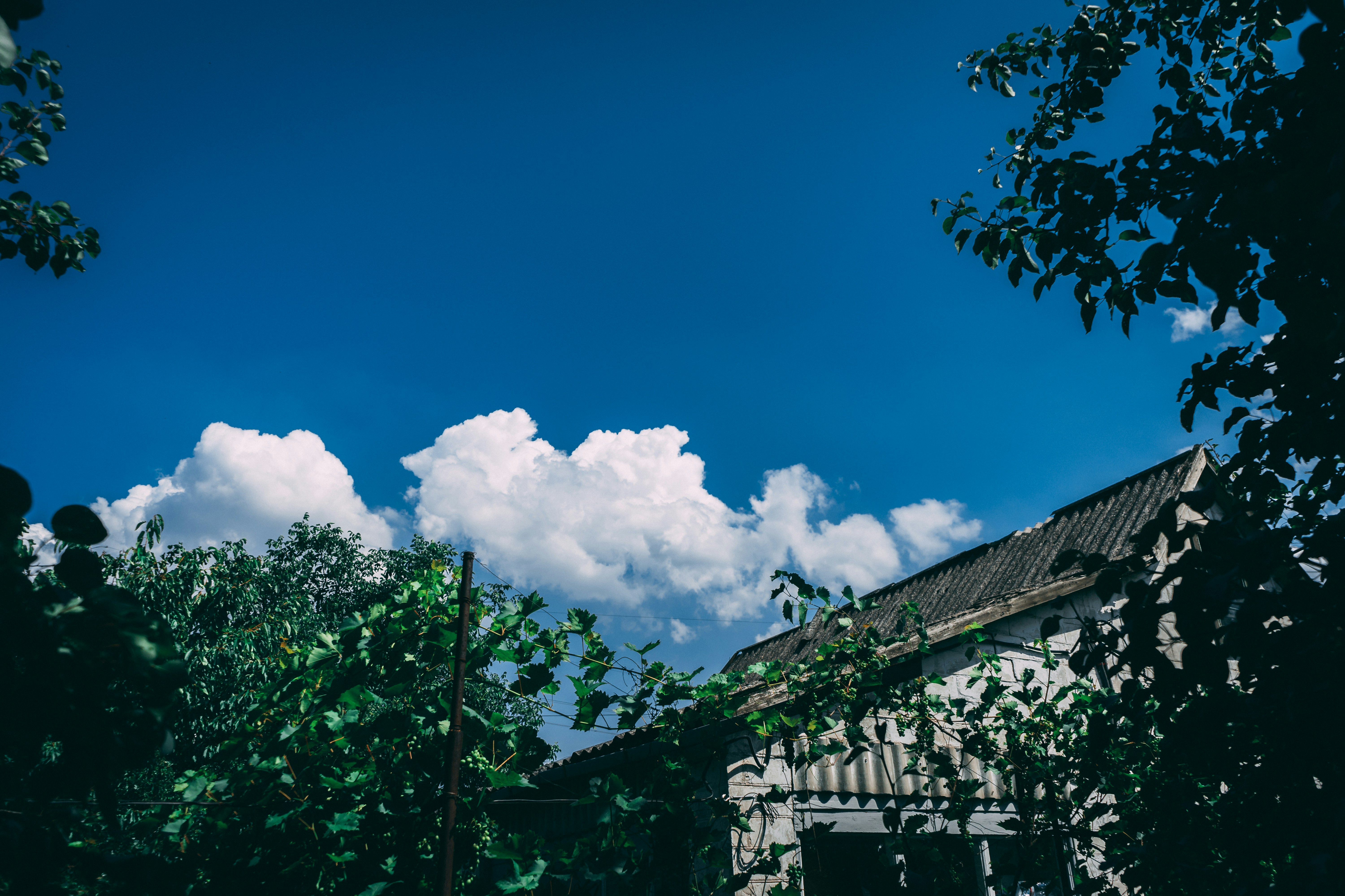 Photo by virussinside