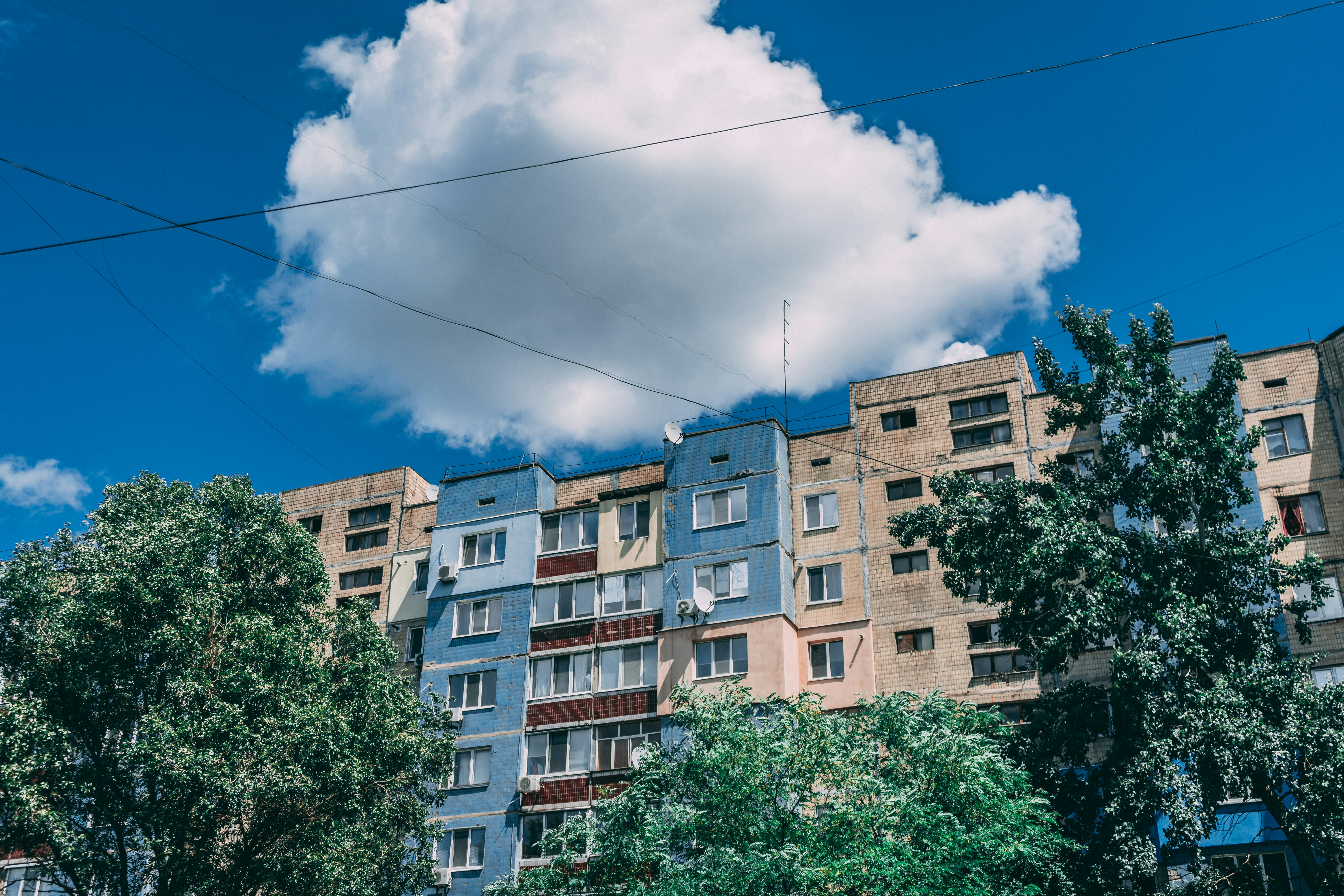 Photo by virussinside